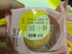 -蒲公英(五里店)
