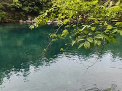 -石台牯牛降景区
