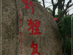 -野狸岛