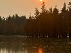 -白鹭湾湿地公园