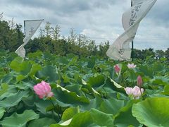 -嘉北郊野公园