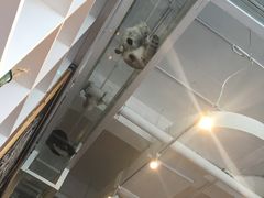 -娜娜家•Nana’Garden (福州道店)