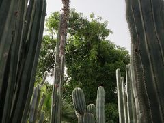 -马洛雷勒花园