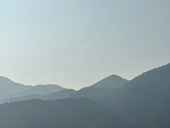 -杨梅坑