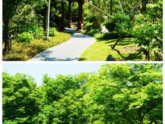 -汤山公园