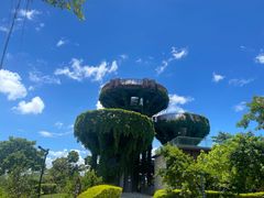 -芒洲湿地公园
