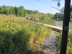 -溱湖国家湿地公园