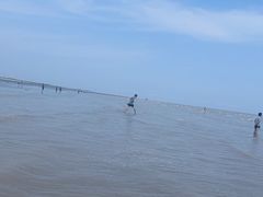 -南汇新城海滩