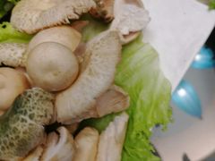 -野菌皇海景野生菌火锅(滨海大道店)