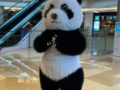 -眉州东坡(清河万象汇店)