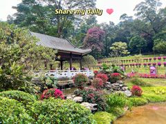 -广州市白云山风景名胜区