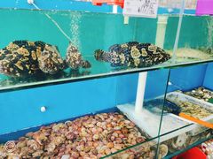 -港畔赶海蒸汽海鲜烧烤自助(仙螺岛店)
