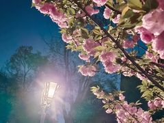 -灶东家民间菜(回兴店)