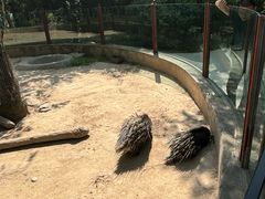-青藏高原野生动物园