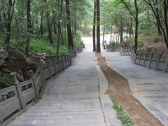 -洛阳白云山景区