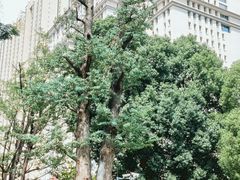 -花果园湿地公园