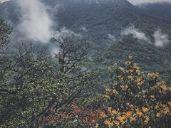 -青城山