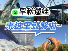 -海合安武汉极地海洋公园