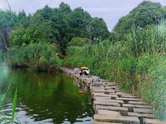 -观山湖公园