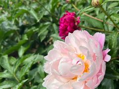 -沈阳植物园