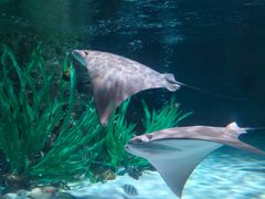 -沈阳海洋探索中心