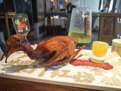 爆汁红烧鸽皇-大鸽饭(岗顶店)
