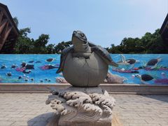 -广东惠东海龟国家级自然保护区