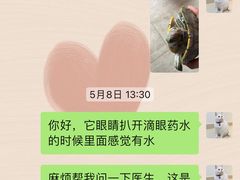 -立德动物医院·异宠·CT·鹦鹉(天河店)