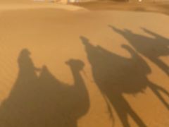 -银肯塔拉沙漠生态旅游景区