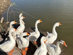 -河北村民俗体验园