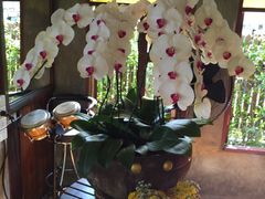 -Dash Teak House