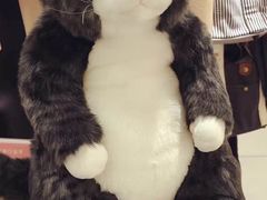 -第戎蛋糕(恒隆广场店)