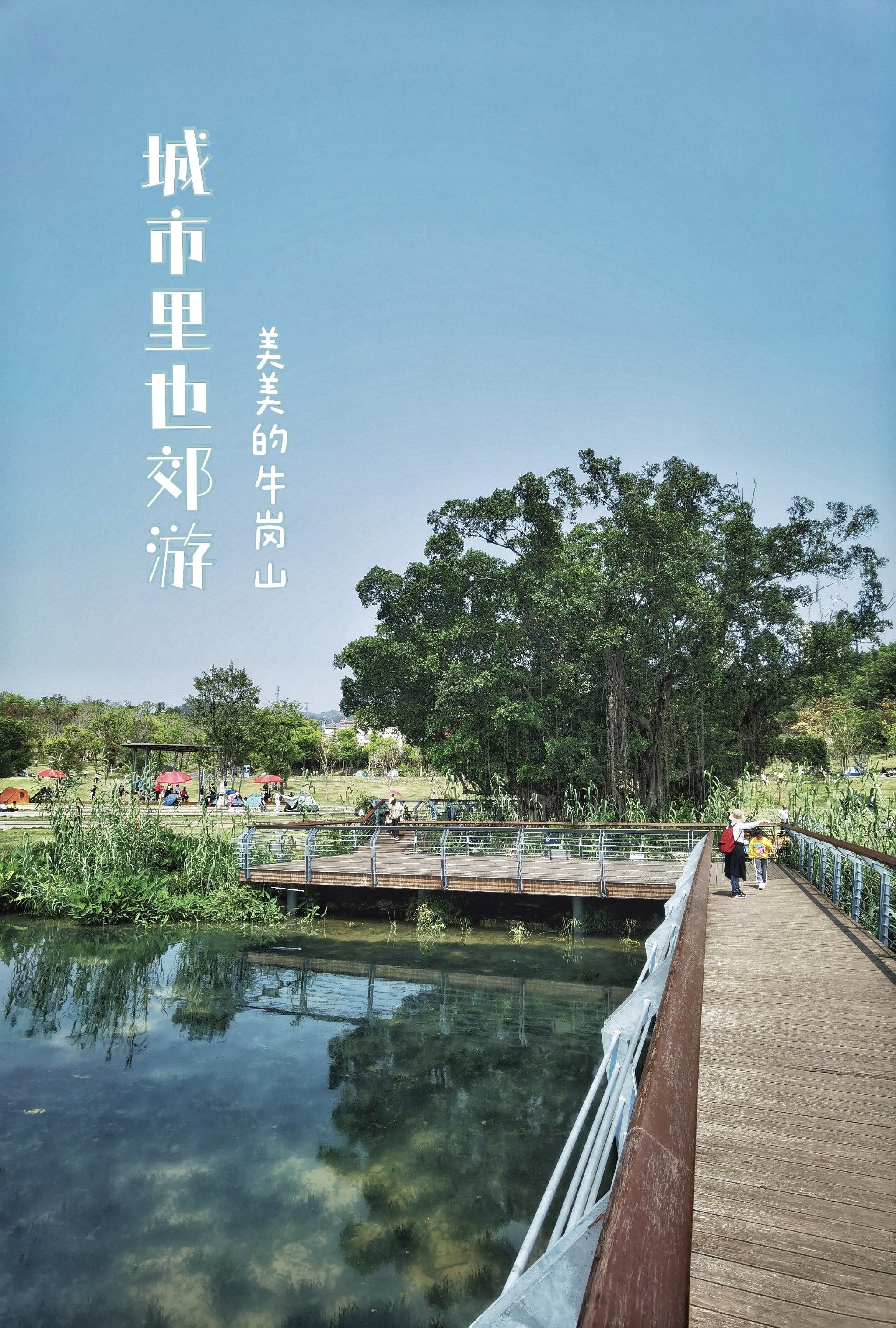福州·牛岗山公园7815:露营的季节快来了75