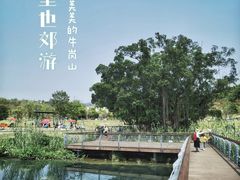 -牛岗山公园