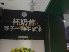 -茉酸奶(春熙路店)