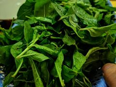 -大戚饭店(泰华路店)