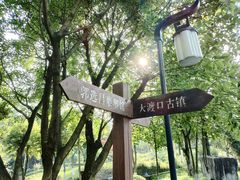 -大渡口区义渡公园