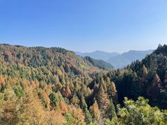 -山王坪喀斯特国家生态公园