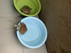 -永太盲人按摩(福田店)