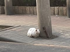 -大圆碗(新兴路店)