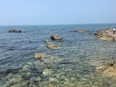 -海岛日记(养马岛店)