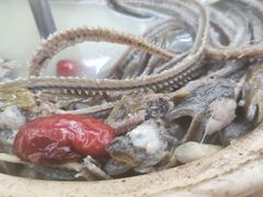 -汤氏美食台山水步特色黄鳝饭(龙津东路店)