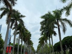 -厦门大学(思明校区)