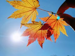 -丹东天桥沟景区