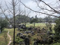 -千岛湖石林