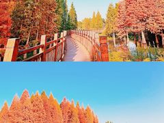 -滇池海埂公园