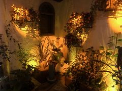 -上合花园花园烧烤(贵阳店)