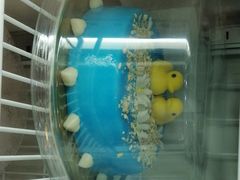 -DQ·蛋糕·冰淇淋(领秀城店)
