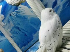 -成都浩海立方海洋公园