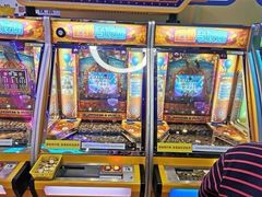 -汤姆熊欢乐世界(大连恒隆广场店)